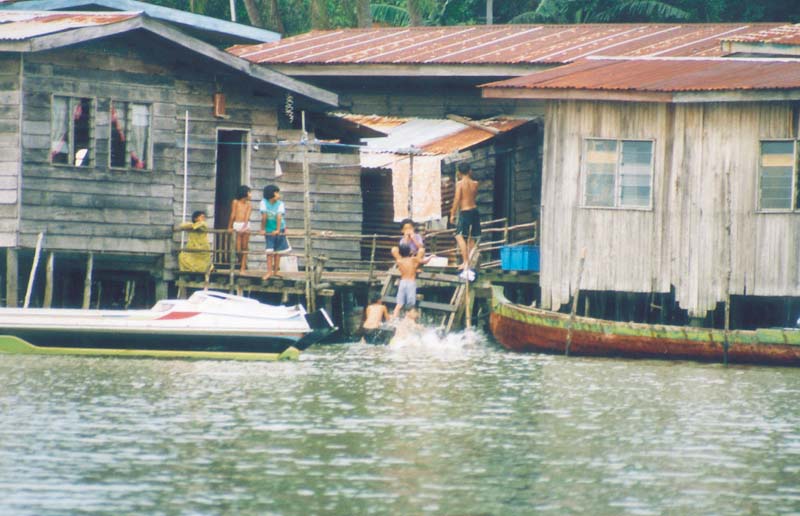 mangrovetur mengkabong1